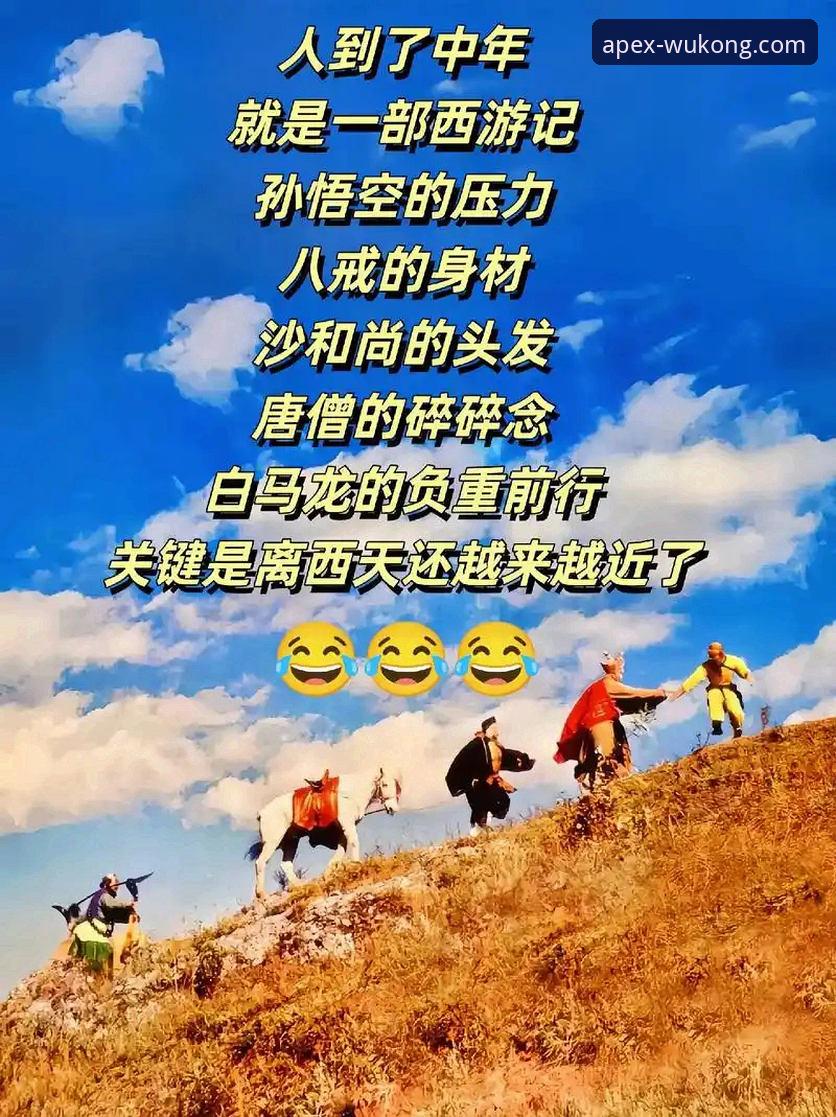 悟空体育平台功能详解：从直播流畅度到赛事分析的实用指南